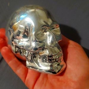 Chrome skull